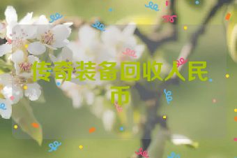 传奇装备回收人民币