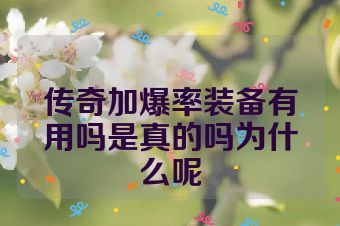 传奇加爆率装备有用吗是真的吗为什么呢