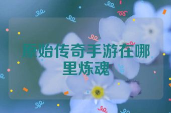 原始传奇手游在哪里炼魂