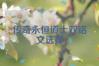 传奇永恒道士双铭文选择