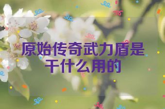 原始传奇武力盾是干什么用的