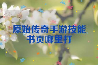 原始传奇手游技能书页哪里打