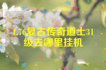 1.76复古传奇道士31级去哪里挂机