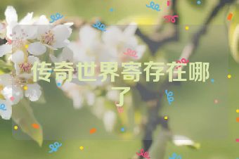传奇世界寄存在哪了