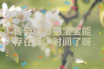 传奇法师招宝宝能存在多少时间了呀