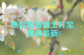 热血传奇道士打宝攻略最新