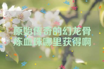 原始传奇的幻龙骨炼血珠哪里获得啊