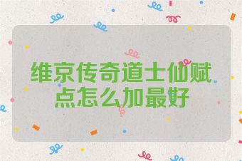 维京传奇道士仙赋点怎么加最好