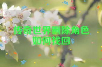 传奇世界删除角色如何找回