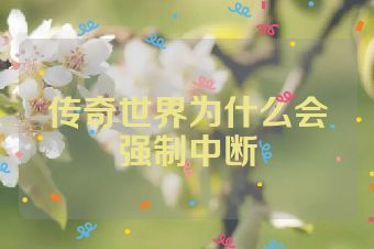 传奇世界为什么会强制中断