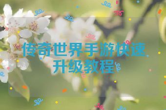 传奇世界手游快速升级教程