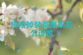 传奇掉装备爆率怎么设置