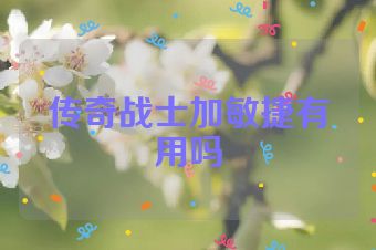 传奇战士加敏捷有用吗