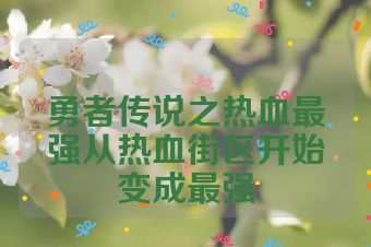 勇者传说之热血最强从热血街区开始变成最强