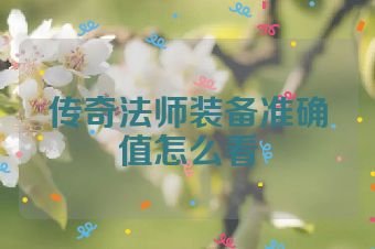 传奇法师装备准确值怎么看
