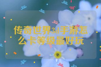 传奇世界3d手游怎么卡等级最好玩