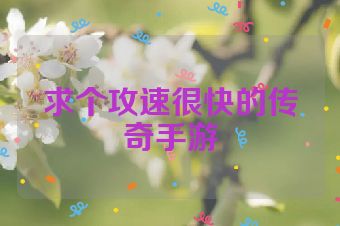 求个攻速很快的传奇手游