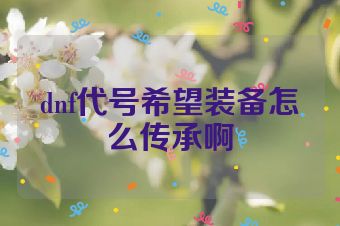 dnf代号希望装备怎么传承啊