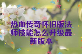 热血传奇怀旧版法师技能怎么升级最新版本