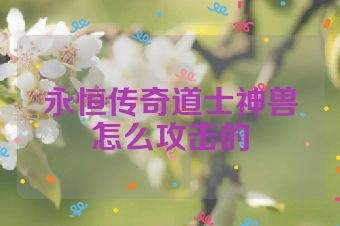 永恒传奇道士神兽怎么攻击的