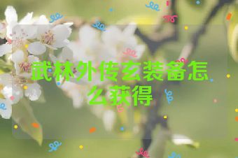 武林外传玄装备怎么获得