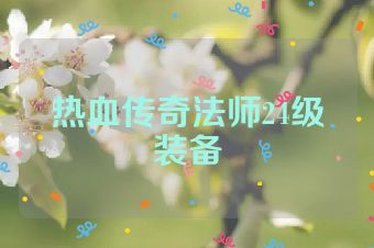 热血传奇法师24级装备