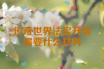 传奇世界法宝升级需要什么材料
