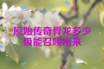 原始传奇骨龙多少级能召唤出来