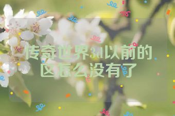 传奇世界3d以前的区怎么没有了