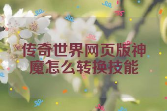 传奇世界网页版神魔怎么转换技能