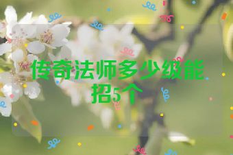 传奇法师多少级能招5个