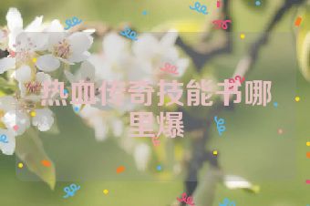 热血传奇技能书哪里爆