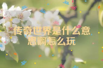 传奇世界是什么意思啊怎么玩