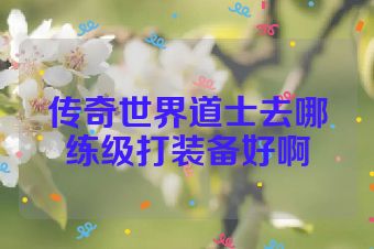 传奇世界道士去哪练级打装备好啊