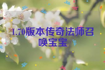 1.70版本传奇法师召唤宝宝