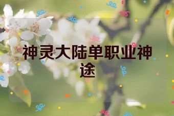 神灵大陆单职业神途