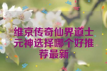 维京传奇仙界道士元神选择哪个好推荐最新