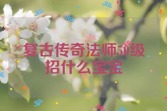 复古传奇法师50级招什么宝宝