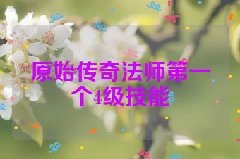 原始传奇法师第一个4级技能