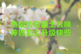 热血传奇道士召唤神兽怎么升级快些