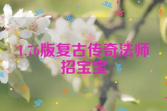 1.76版复古传奇法师招宝宝