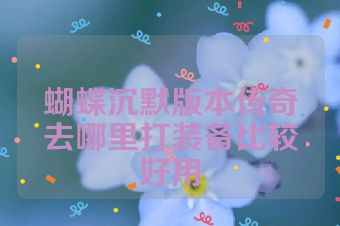蝴蝶沉默版本传奇去哪里打装备比较好用
