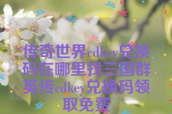 传奇世界cdkey兑换码在哪里找三国群英传cdkey兑换码领取免费
