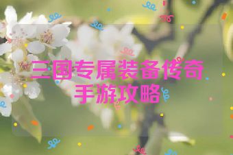 三国专属装备传奇手游攻略