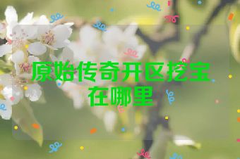 原始传奇开区挖宝在哪里