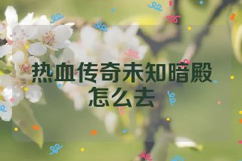 热血传奇未知暗殿怎么去