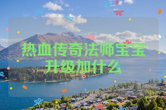 热血传奇法师宝宝升级加什么
