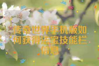 传奇世界手机版如何获得法宝技能栏信息
