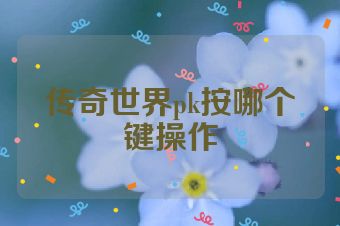 传奇世界pk按哪个键操作