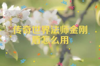 传奇世界法师金刚盾怎么用